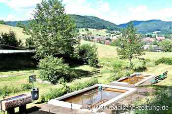 Der Lahrer Ortsteil Reichenbach ist ein närrischer Erholungsort - Lahr - Badische Zeitung