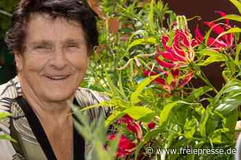 Tropische Kletterpflanze hat Blüten wie ein Flammenmeer - Freie Presse