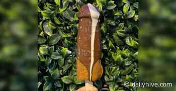 New Toronto dessert shop creates suggestive waffles on a stick | Dished - Daily Hive