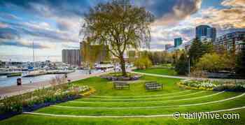 9 things to do in Toronto this weekend: August 6 to 8 | Listed - Daily Hive