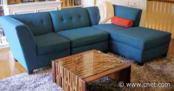 Red wine, greasy pizza, smelly cat pee: How to clean your couch of stains and odors     - CNET