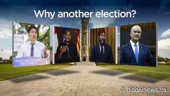 What is a snap election and could Canadians be heading back to the polls?