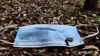 Business owners brace for a maskless Manitoba