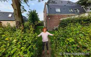 Amsterdammers tussen de Friezen in Britswert: dat gaat prima volgens Akkie van der Meer (64), die er een vrijstaand huis kocht - Friesch Dagblad