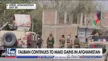 Taliban capture first Afghan provincial capital as US, NATO forces withdraw, report says