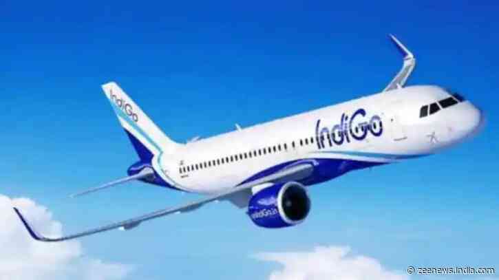 IndiGo offers unlimited free tickets for Olympic gold medallist Neeraj Chopra for one year