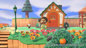 Animal Crossing: New Horizons bug guide for August 2021