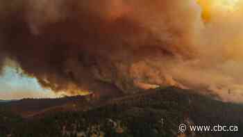Hundreds of wildfires burn in B.C. as strong winds fan flames