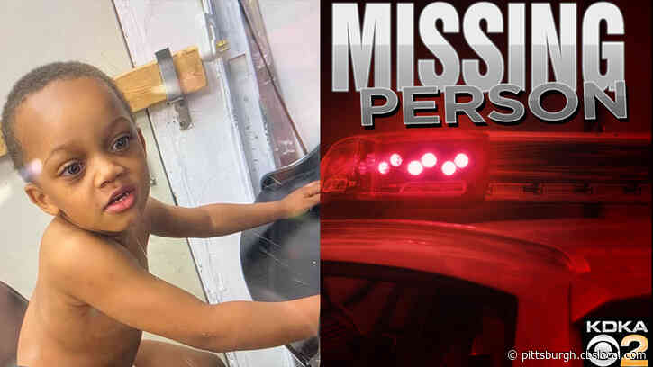 McKees Rocks Police Need Help Locating Missing 4-Year-Old King Simms