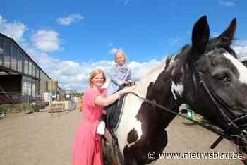 Hart voor Marthe houdt eerste Kids Day in Stal De Rollebeek