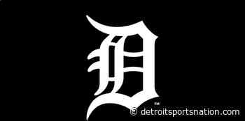 Detroit Tigers prospect Dillon Dingler placed on IL after suffering injury - Detroit Sports Nation