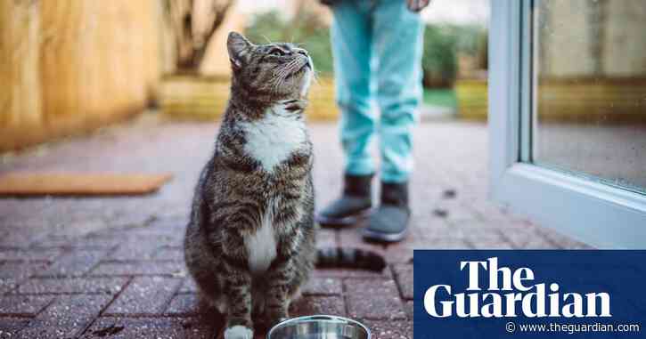 Shops accused of failing to publicise recall of food linked to cat deaths - The Guardian