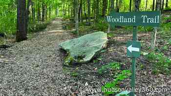 Be a Better Gardener: Tick season | Columnists | hudsonvalley360.com - Hudson Valley 360