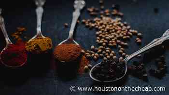 Houston Indian Restaurants - 10 Best Indian Places - Houston On The Cheap