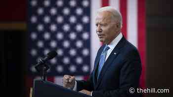 Biden praises US Olympians: 'You made me so damn proud'