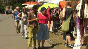 Festivals im Wendland: Gastgewerbe an Überlastungsgrenze - NDR.de