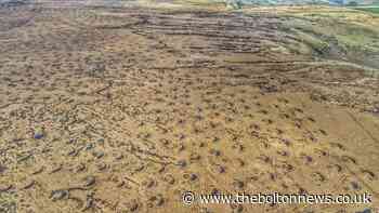 Peatland area gets 3,500 pools to absorb carbon