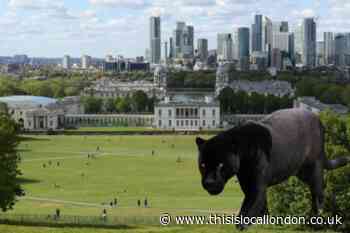 London police reveal big cat reports since 2015