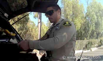 Video of deputy's drug collapse questioned