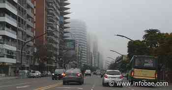 Una densa niebla cubre la ciudad de Buenos Aires: la escasa visibilidad continuará toda la noche - infobae