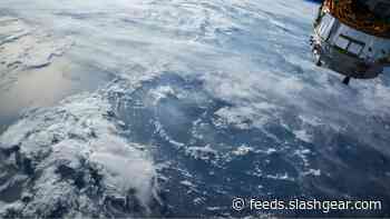 Astronaut reveals irrational fear of spiders persists even in space