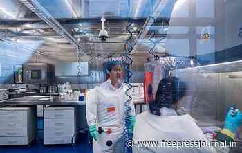 COVID-19 in China: Wuhan city tests 11.23 million amid coronavirus resurgence - Free Press Journal
