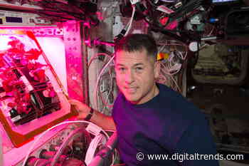 Why growing delicious food in space is more than just a matter of taste