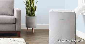 Portable air conditioners: Buy the right one and stay cool all summer long     - CNET