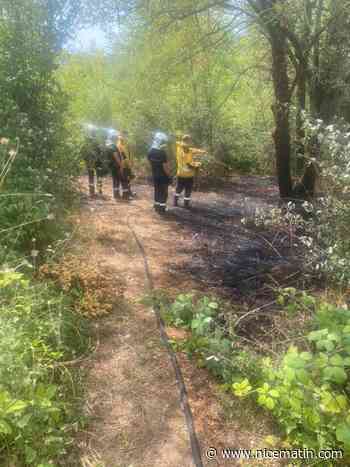 "En voulant brûler des lettres de motivation", un adolescent manque de déclencher un feu en forêt à Gattières