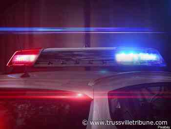 Jasper man killed in Saturday night motorcycle accident - Trussvilletribune