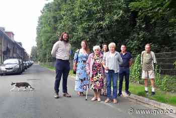 Bewoners Wirixdreef in Niel strijden voor 'hun' bomen: “Er mag er geen enkele weg” - Gazet van Antwerpen