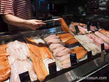 Seafood fraud a serious issue in Canada, advocates say - Toronto Sun