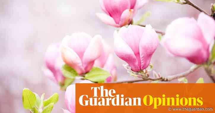 There are no happy lockdowns but every lockdown is unhappy in its own way | Kirsten Tranter