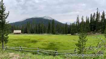 Bozeman nonprofit ponders educational uses for Gallatin forest ranch - Billings Gazette