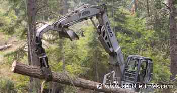 Logging near Cle Elum aims to protect forest land and communities from megafires - The Seattle Times