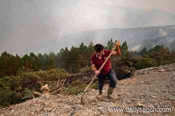 Nearly $2M collected in a single day for Turkey’s forest fires | Daily Sabah - Daily Sabah