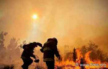 AMERICA/BOLIVIA - Study: 58 indigenous areas particularly affected by persistent forest fires - Agenzia Fides