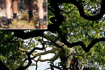 Robin Hood's hideout Sherwood Forest a haven for nudists, infuriating locals - New York Post