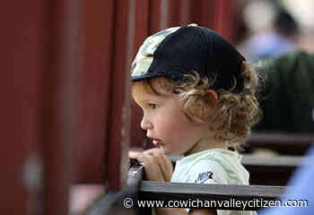 Families pack Duncan’s BC Forest Discovery Centre for Kids Days - Cowichan Valley Citizen