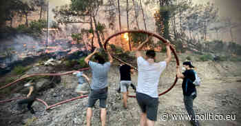 Forest fires raise calls for new climate policies in Turkey - POLITICO Europe