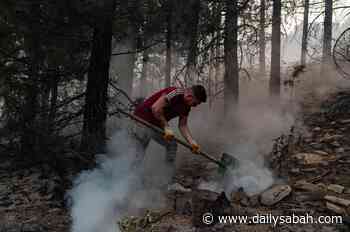 Lessons learnt from Turkey's forest fires | Daily Sabah - Daily Sabah