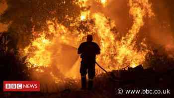 Greece wildfires: Evia island residents forced to evacuate