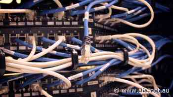 'They keep treating them badly': Watchdog accuses Telstra, Optus and TPG of misleading consumers over NBN speeds