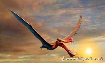 Terrifying pterosaur with a 23ft wingspan and a 'spear-like' mouth flew over Australia