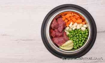 Feeding your dog peas could lead to canine heart disease, study finds