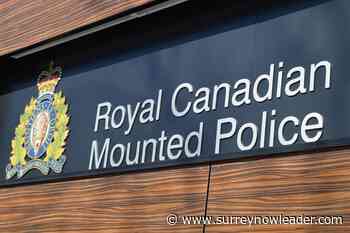 Surrey RCMP probe garbage-throwing 'racism' confrontation at Aspen Park in Newton – Surrey Now-Leader - Surrey Now-Leader