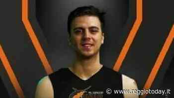 Colpo per la Pallacanestro Viola, in arrivo l'ala grande Franco Gaetano - ReggioToday