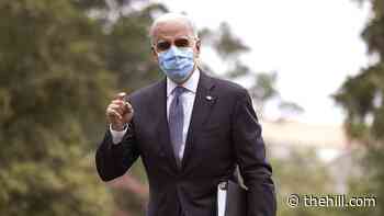 White House grapples with COVID-19 resurgence