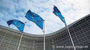 Das Neue Europäische Bauhaus: Architektur im grünen Bereich - Tagesspiegel