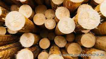 Land baut Holzbau-Förderung aus: Einseitiger Fokus bemängelt - Süddeutsche Zeitung